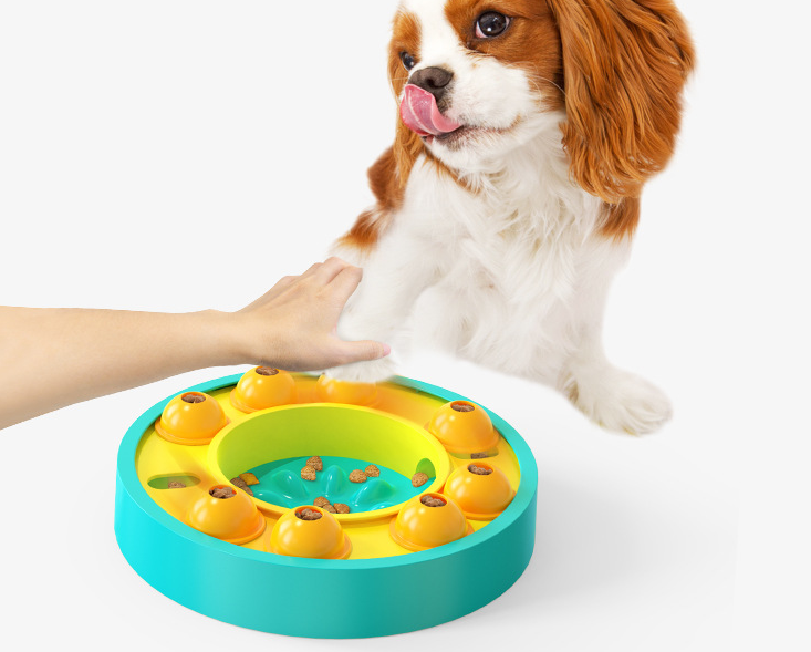 Dog Puzzle Slow Feeder Interactive IQ Toy Bowl
