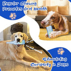 Water Bottle Dog Toy Squeaky Dog Toys For Aggressive Chewers