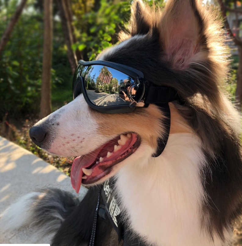 Pet Dog Goggles UV Protection