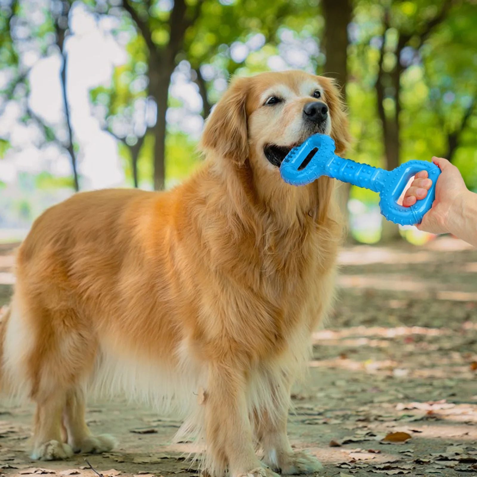 Interactive Dog Bone Toys With Pull Band, Dog Teething Toy