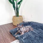 Ultra Soft Plush Dog Bed