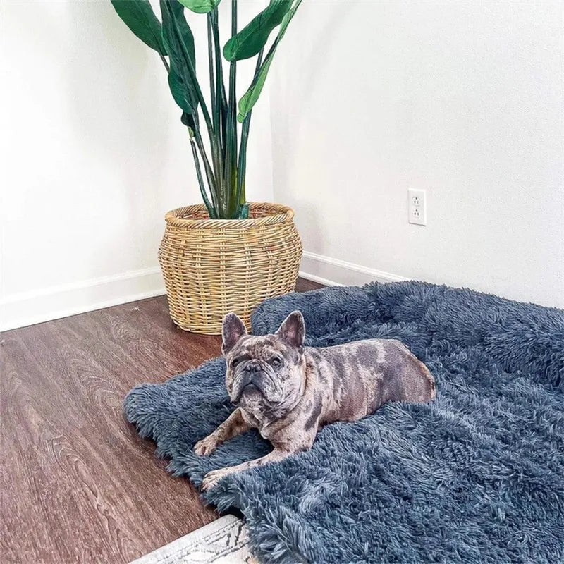 Ultra Soft Plush Dog Bed