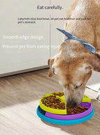 Interactive Slow Feeder Puzzle Bowl