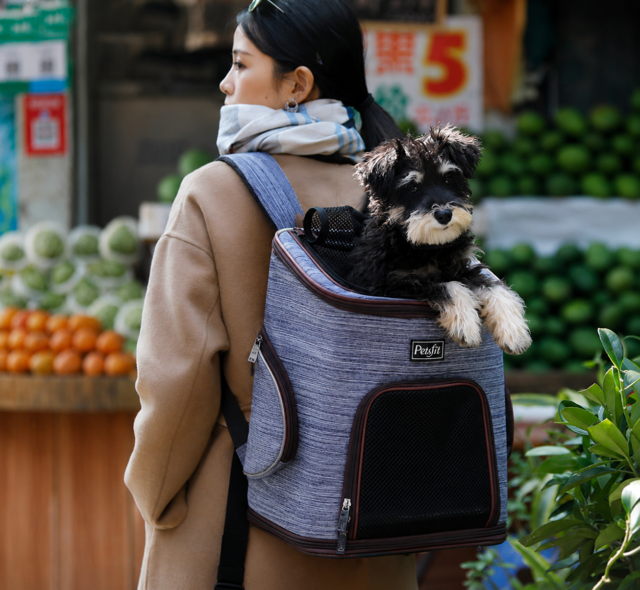 Pet Dog Backpack Carrier