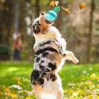 Interactive Puzzle Toys for Happy Dogs