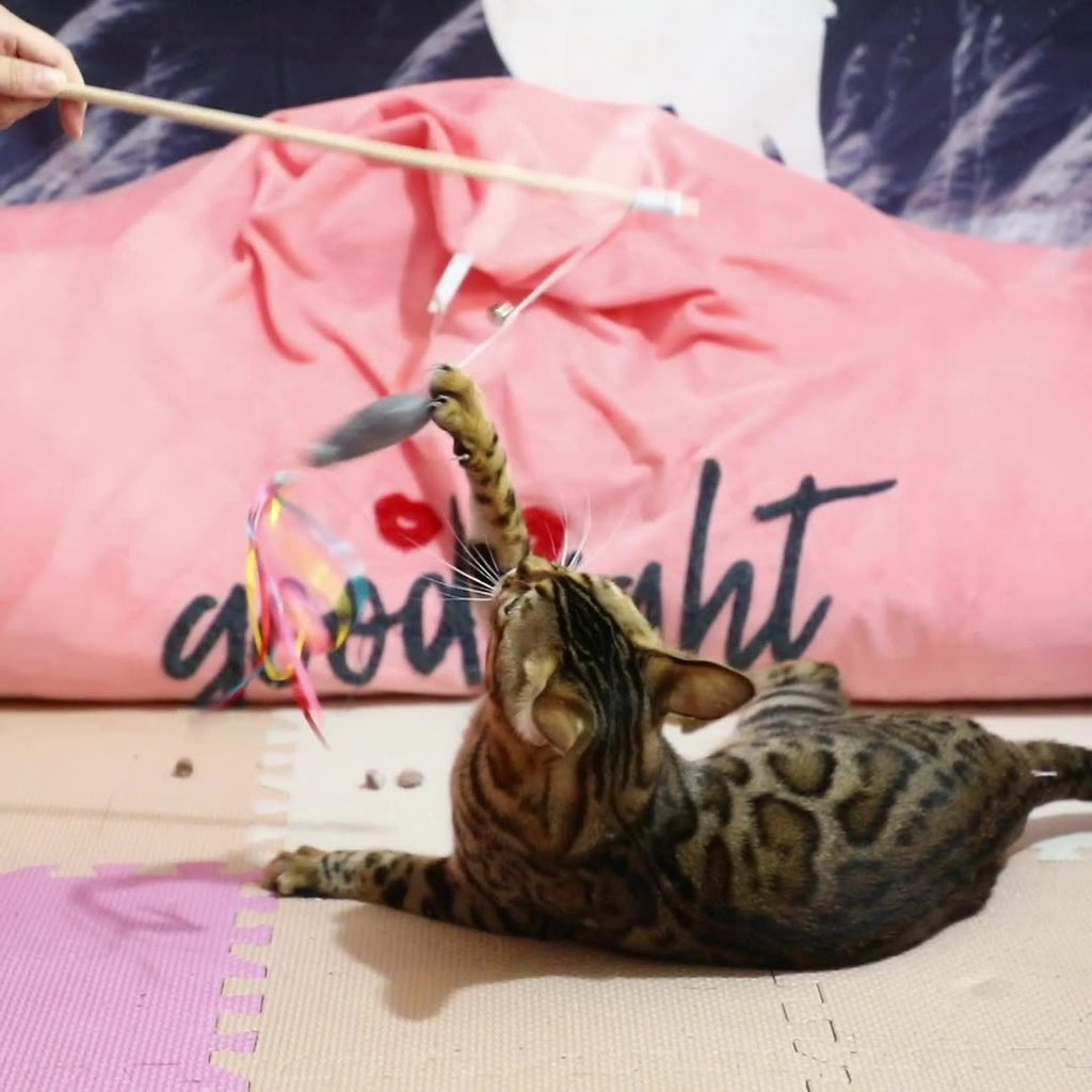 Cat Wand Toys Interactive Cat Toys With Catnip Fish