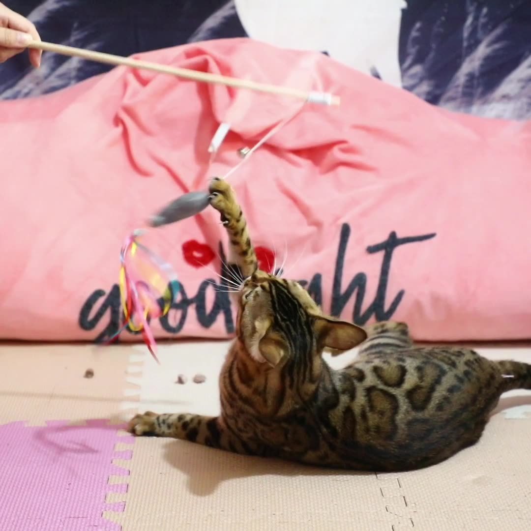 Cat Wand Toys Interactive Cat Toys With Catnip Fish