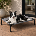 Elevated Oxford Dog Trampoline Bed