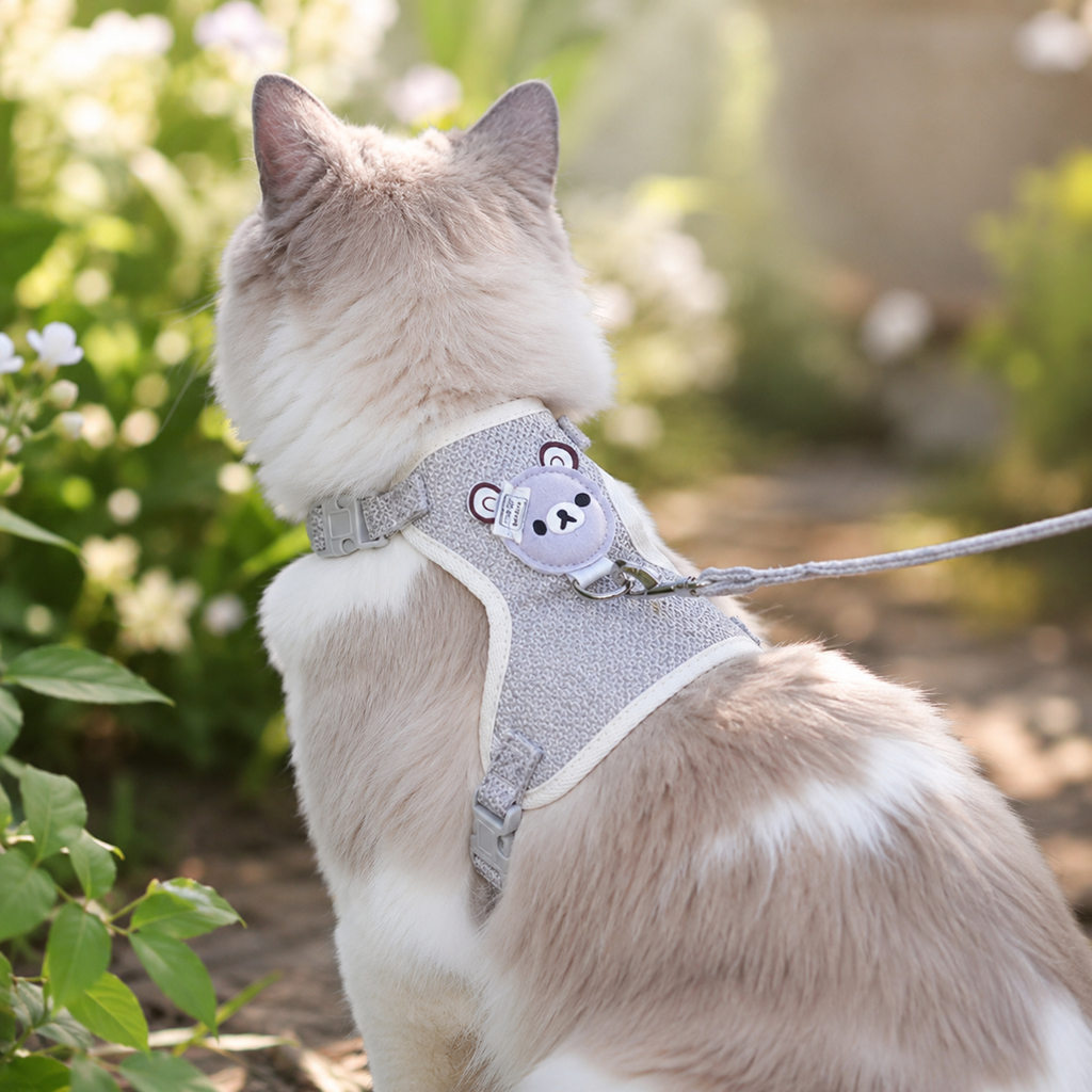 Adjustable Pet Harness & Leash Set