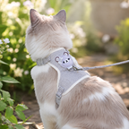 Adjustable Pet Harness & Leash Set