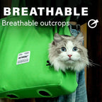 Large Canvas Pet Carrier Shoulder Bag