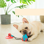Interactive Dog Treat Toy