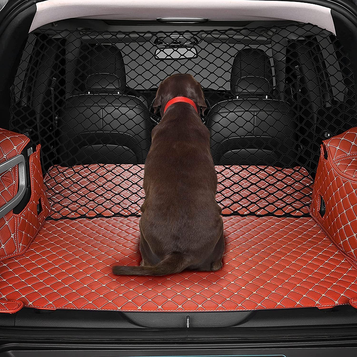 Dog Car Isolation Barrier Net