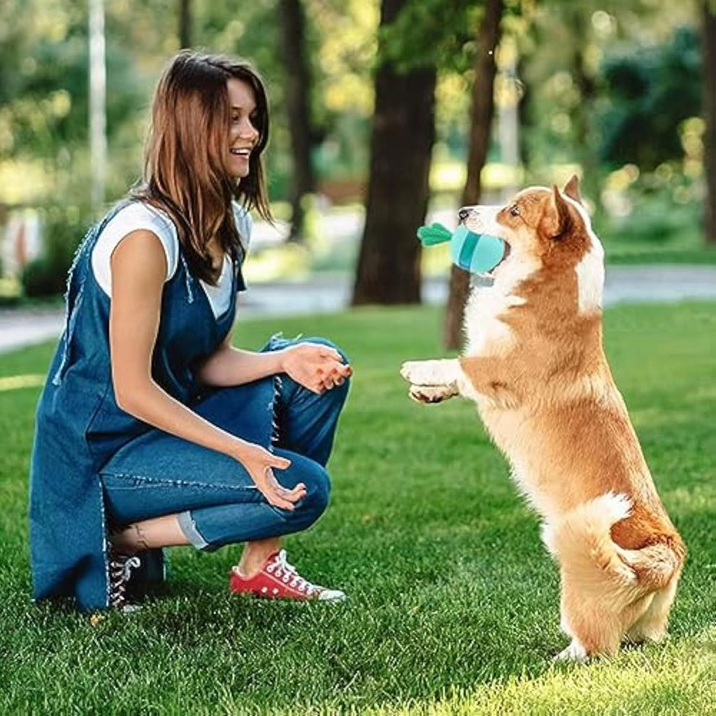 Interactive Puzzle Toys for Happy Dogs
