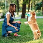 Interactive Puzzle Toys for Happy Dogs