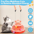 Cat Puzzle & Ball Toy