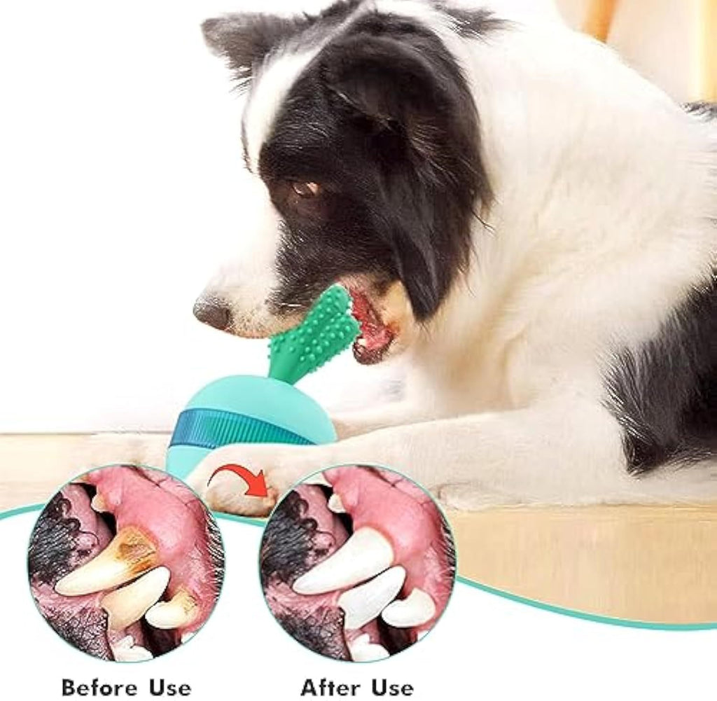 Interactive Puzzle Toys for Happy Dogs