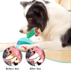 Interactive Puzzle Toys for Happy Dogs