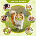 Indestructible Natural Rubber Toys for Chewers