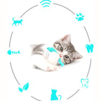Cat Teaser Toothbrush Toy