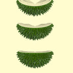 Durian Shaped Cat Hair Remover