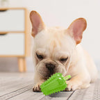 Dog Teething Chew Toy