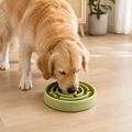 Non-Slip Slow Feeder Dog Bowl