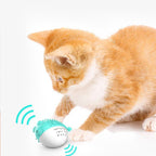Cat Teaser Toothbrush Toy