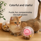 Interactive Treat Dispensing Pet Ball
