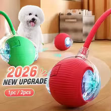 Smart Automatic Interactive Dog Ball