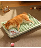Orthopedic Memory Foam Dog Bed