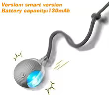 Smart Automatic Interactive Dog Ball