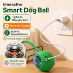Smart Automatic Interactive Dog Ball
