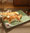 Orthopedic Memory Foam Dog Bed