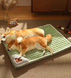 Orthopedic Memory Foam Dog Bed