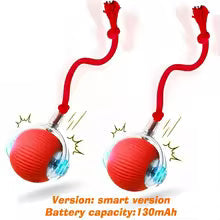 Smart Automatic Interactive Dog Ball