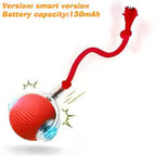 Smart Automatic Interactive Dog Ball