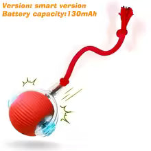 Smart Automatic Interactive Dog Ball