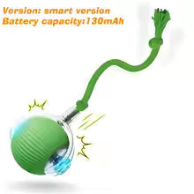 Smart Automatic Interactive Dog Ball