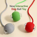 Smart Automatic Interactive Dog Ball