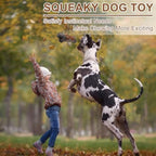 Indestructible Tough Dog Toys for Aggressive Chewers