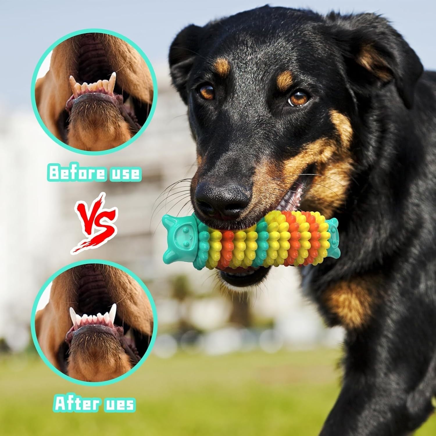 Durable Indestructible Dog Chew Toys for Aggressive Chewers