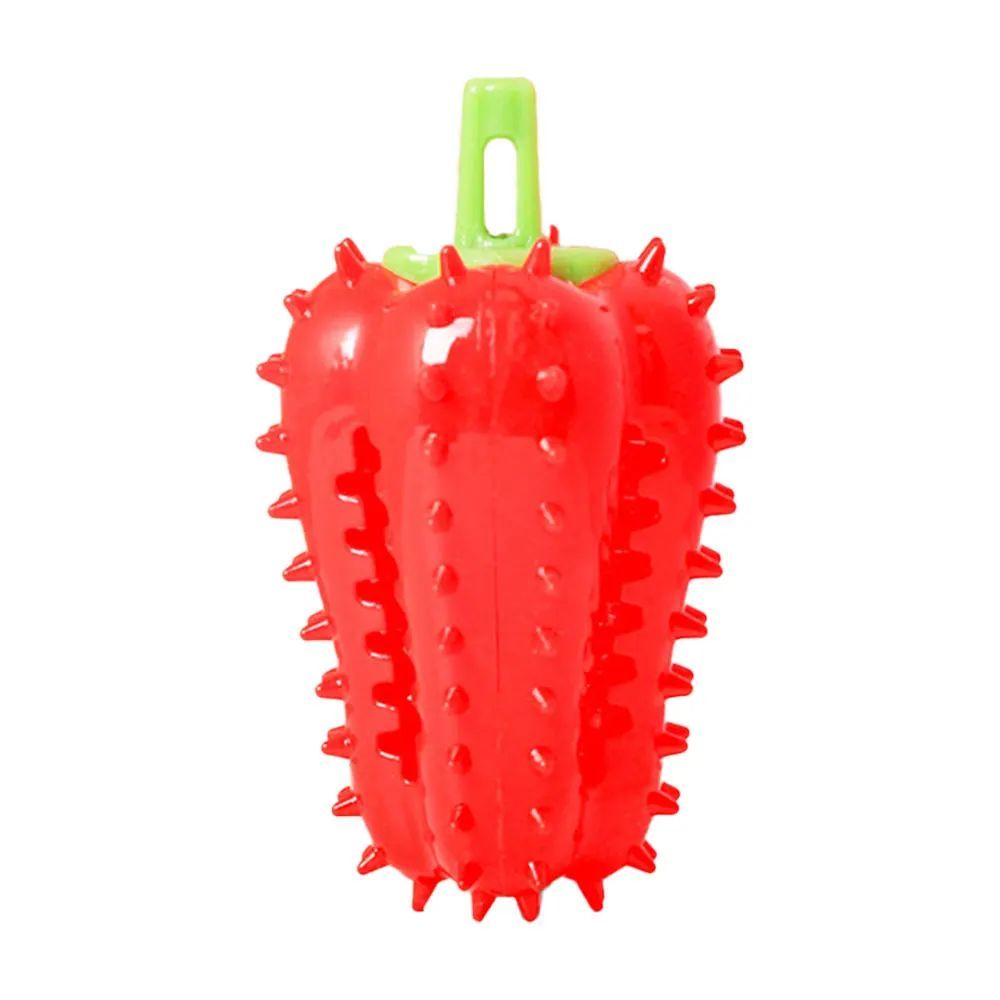 Dog Teething Chew Toy