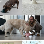 Interactive Chew Toys with Hidden Treats