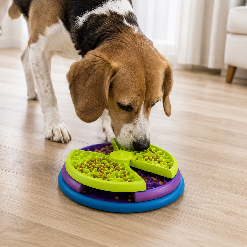 Interactive Slow Feeder Puzzle Bowl