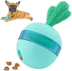 Interactive Puzzle Toys for Happy Dogs