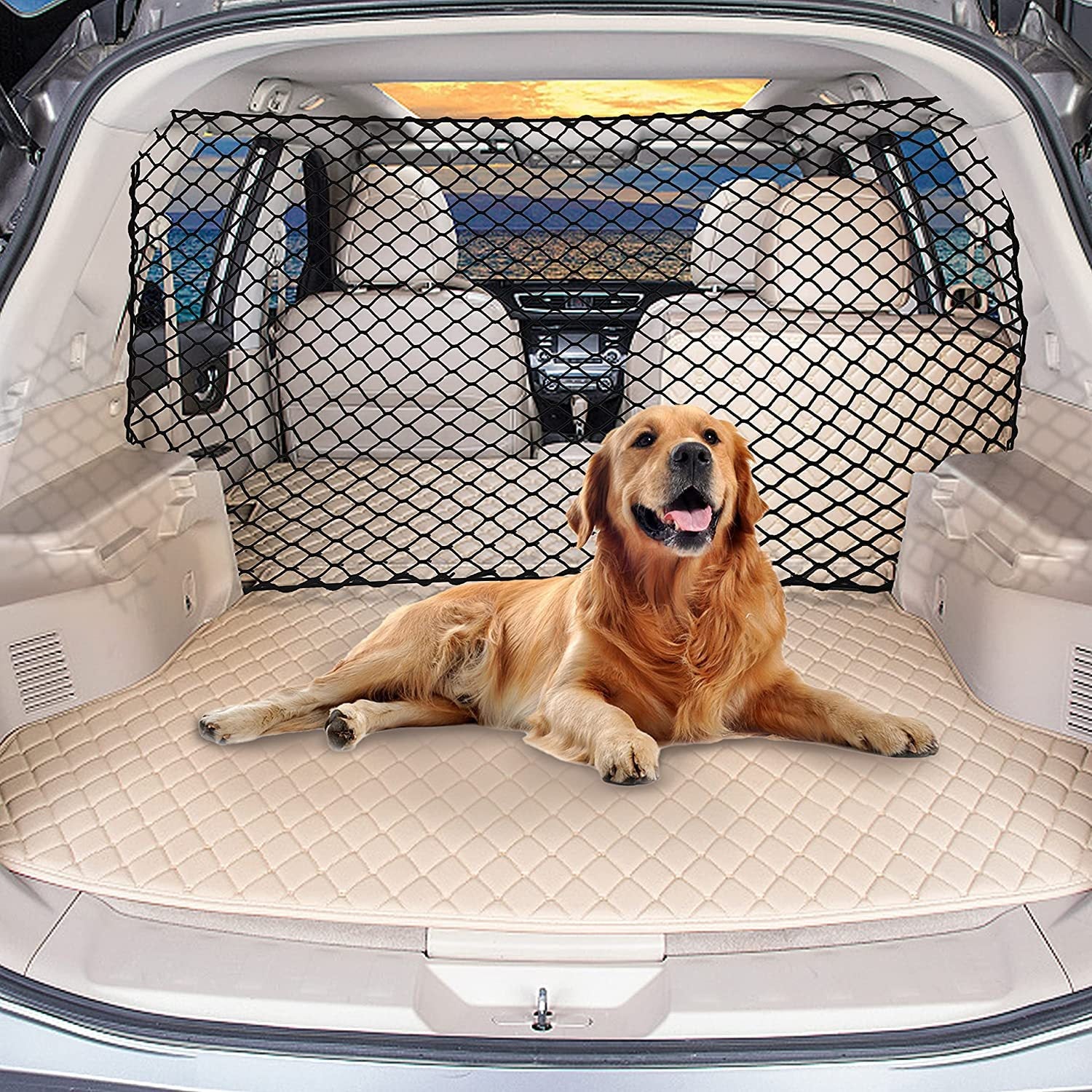 Dog Car Isolation Barrier Net