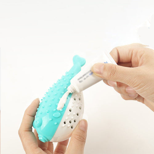 Cat Teaser Toothbrush Toy