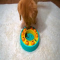Dog Puzzle Slow Feeder Interactive IQ Toy Bowl