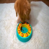 Dog Puzzle Slow Feeder Interactive IQ Toy Bowl